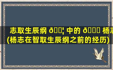 志取生辰纲 🐦 中的 🐋 杨志(杨志在智取生辰纲之前的经历)